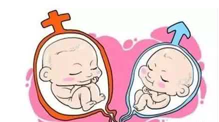 周医生